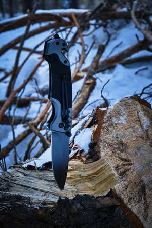 Folding camping knife is stuck in stump fallen pine trees in winter forestの写真素材