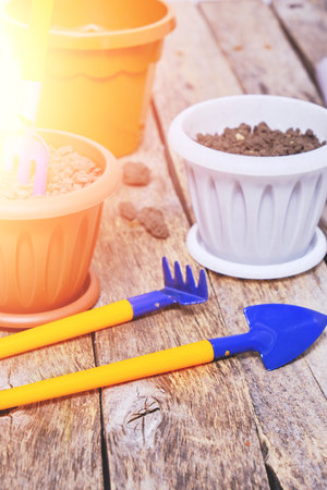 Flower pots and set decorative garden tools on a wooden background in bright sunlightの写真素材