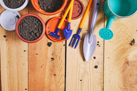 Flower pots, watering can and garden tool on a wooden background