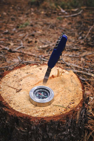 Penknife and compass on stump sawn pine tree against background forest litter pine needlesの写真素材