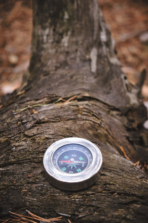 Compass on a tree stump in forest.Travel and recreation wildの写真素材