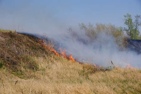 Tongues red flame and burning dry yellowed grass in smoke