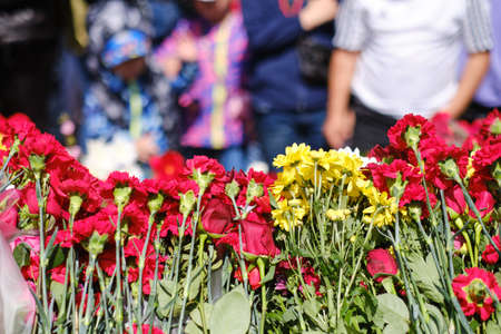 Laying flowers on Victory Day on the ninth of Mayの写真素材