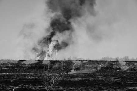 Black smoke and flames on the background burnt field with grass in black and white photoの写真素材