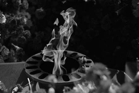 Tongues eternal fire among flowers roses and carnations laid to eternal flame.On black white photoの写真素材
