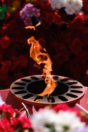 Tongues eternal fire among flowers roses and carnations laid to eternal flame