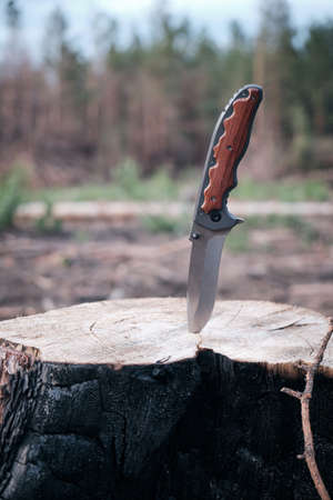Tactical knife for survival and protection difficult conditions, stuck in the stump sawn tree in...