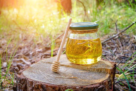 Jar honey and spoon for honey in forest on stumpの写真素材