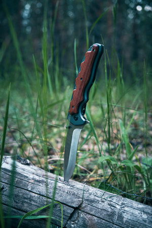 Tactical knife for survival and protection difficult conditions stuck into trunk tree in forestの写真素材