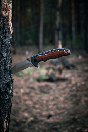 Tactical knife for survival and protection difficult conditions stuck into trunk tree in forestの写真素材