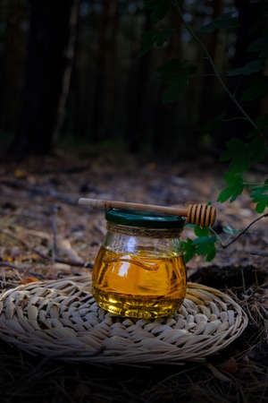 Barrel honey and spoon for honey in summer green grassの写真素材