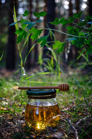 Jar of fresh honey and spoon for honey in forestの写真素材