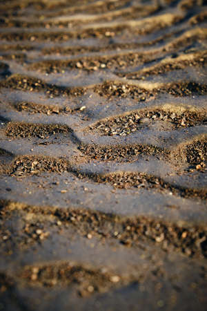 background and texture sandy bottom dried seaの写真素材