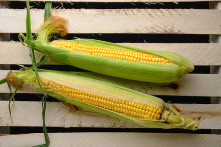 Two ripe ears corn wooden background