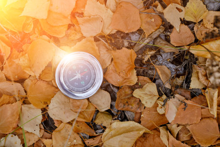 Compass lying in yellow autumn foliage.Concept recreation, travel, and tourism