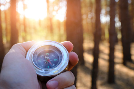 Travel with compass in hand in pine sunny forestの写真素材