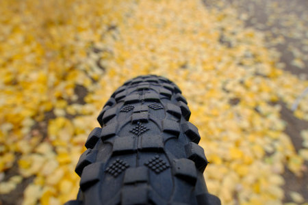 Fallen yellowed autumn foliage background bicycle wheelの写真素材