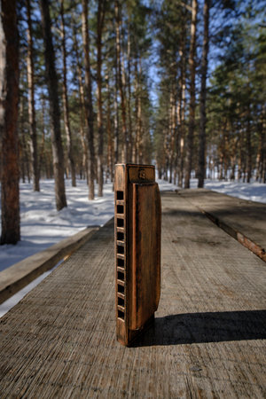 Old retro harmonica on wooden table in winter forest