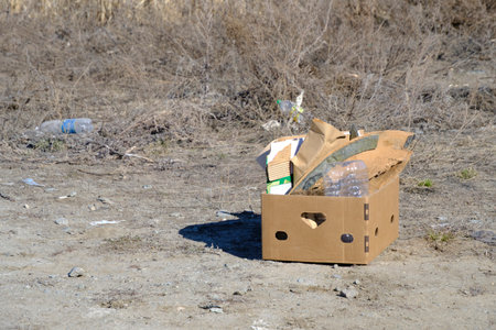 Cardboard box full garbage is thrown into field.Environmental pollutionの写真素材