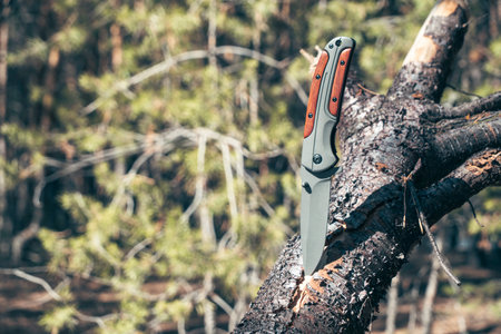Folding knife for survival is stuck in trunk fallen tree against background forest