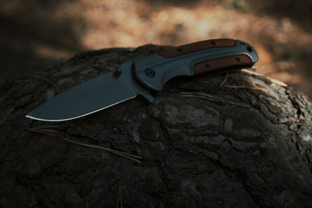 Folding knife with wooden handle lies in forest fallen tree