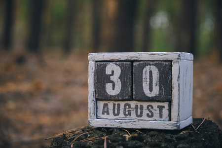 August 30 summer month, wooden calendar with date and month in forestの写真素材