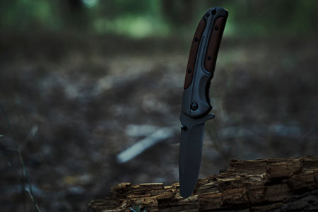 Folding survival knife with wooden inserts in handle is stuck rotten fallen tree in forest