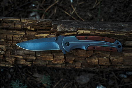 Folding knife for survival lies on rotten tree
