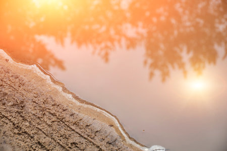 Reflection sun and pine forest in puddle sandy road after rainの写真素材