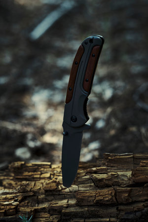 Folding survival knife with wooden inserts in handle is stuck rotten fallen tree in forestの写真素材