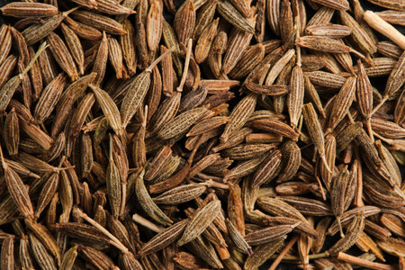 Cumin seasoning, cumin seeds on macrophotography