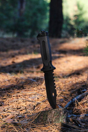 Tactical, tourist knife plunged into stump against background sunsetの写真素材