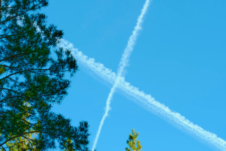 Intersecting two tracks in the blue sky from the plane on the background of a pine treeの写真素材
