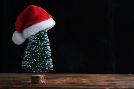 Christmas tree is decorated with Santa Claus hat dark background.の写真素材