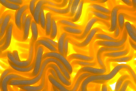 Macro background dry instant noodles
