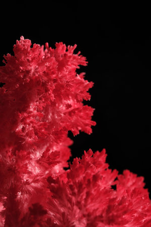 Macro image red salt crystal on black background