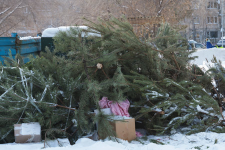 Post holiday, discarded Christmas tree restss near trash cans, its festive spirit now replaced by quiet solitude of the snowy surroundingsの写真素材