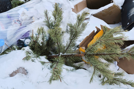 Discarded Christmas tree, post holiday, rests in snow. Once adorned, now abandoned, seasonal symbol...