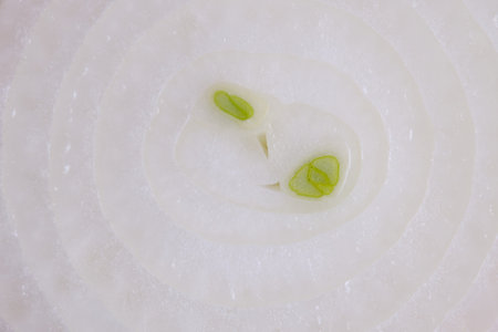 Onion rings background. Onions. Food photo closeupの写真素材