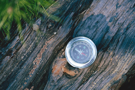 Compass on a tree trunk in the forest. Vintage style.の写真素材