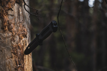Hunting knife on a tree in the forest. Camping equipment.