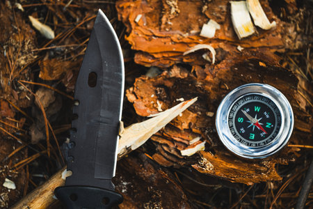 Compass and knife on a log in the forest. Travel conceptの写真素材