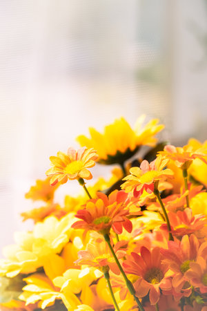 Colorful flowers in vase on the windowsill, soft focusの写真素材