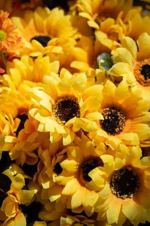 Close up of yellow daisy flowers in a flower shop for saleの写真素材