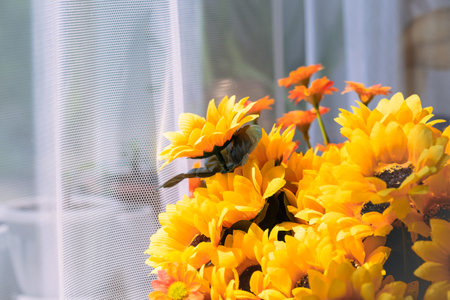 Colorful artificial flowers in vase on the windowsill, stock photoの写真素材
