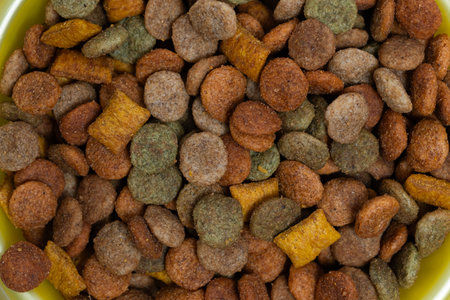 Dry dog food in a bowl. Top view. Background.の写真素材