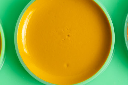 Close up of a bowl of pumpkin puree on green background.の写真素材