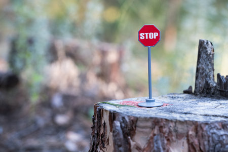 Stop sign on a tree stump in the forest with bokeh backgroundの写真素材