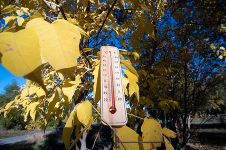 Thermometer on the background of the autumn landscape. Thermometer on the background of autumn leaves.の写真素材