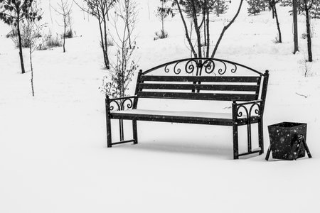 Bench park on snowy day. Black and white photo.